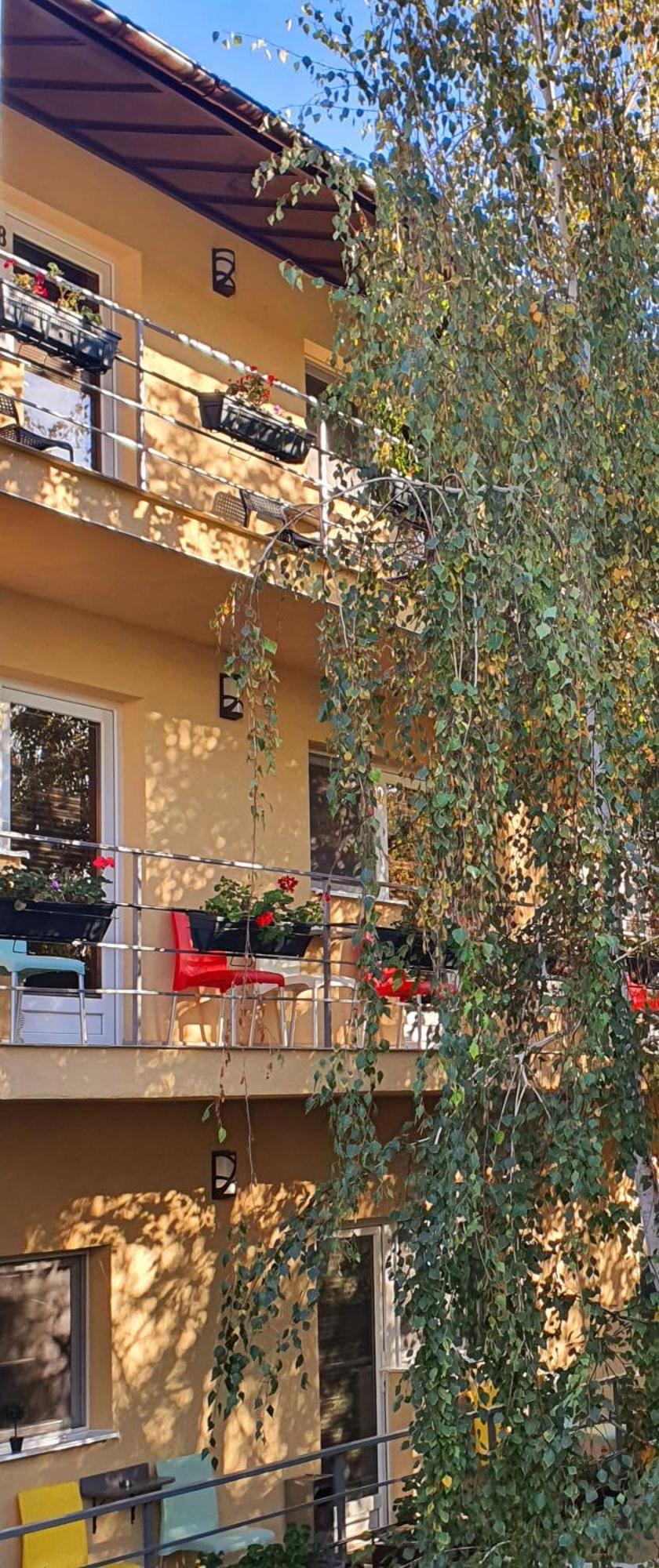 Vila Sia بوخارست المظهر الخارجي الصورة