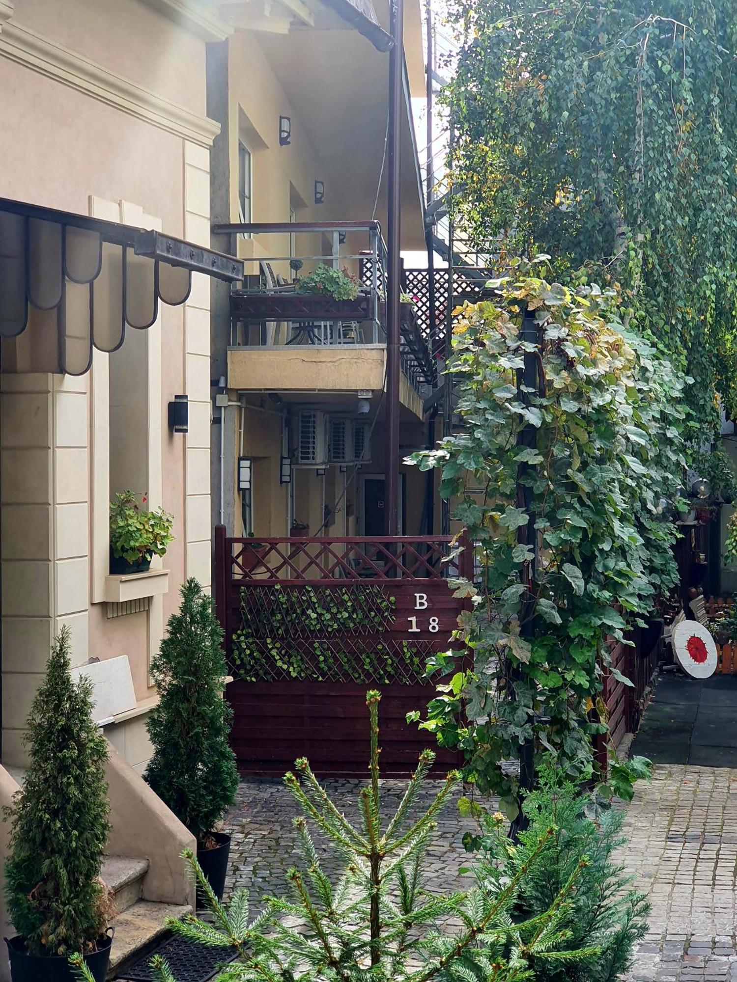 Vila Sia بوخارست المظهر الخارجي الصورة